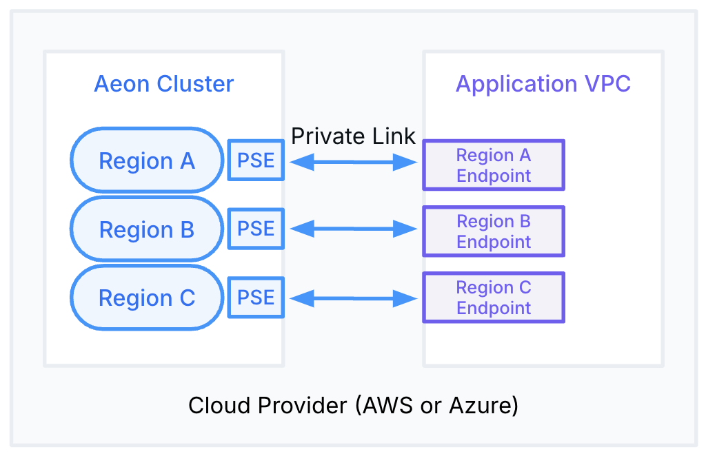 VPC network using PSE